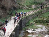 Clicca qui per vedere l'immagine in dettaglio